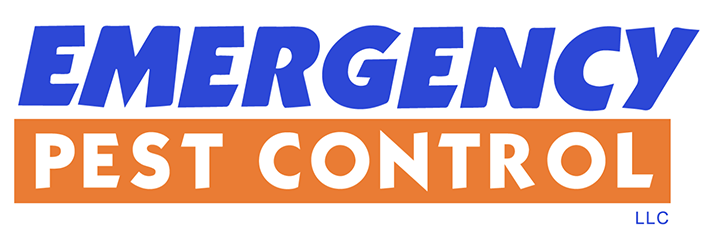 Emergency Pest Control Tampa