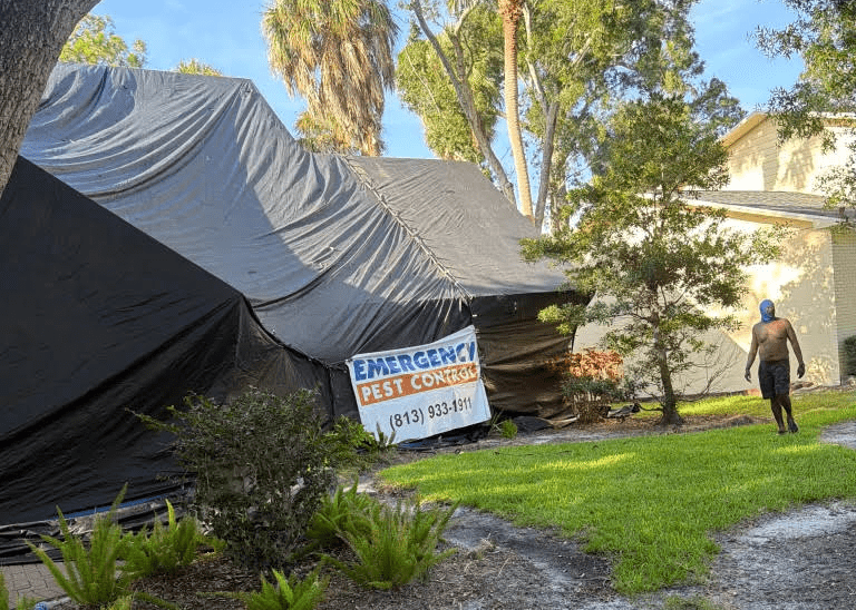 Fumigation Tent